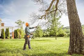 Best Tree and Shrub Care  in Town Creek, AL